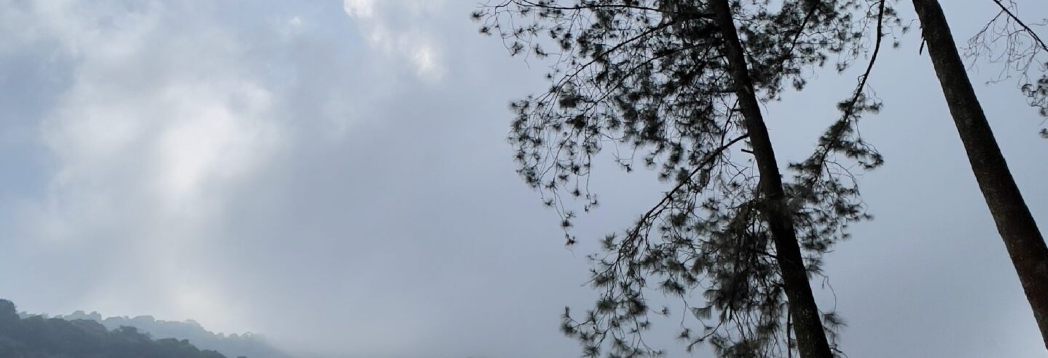 10C7563C-390B-4263-9412-82ED61785FB8