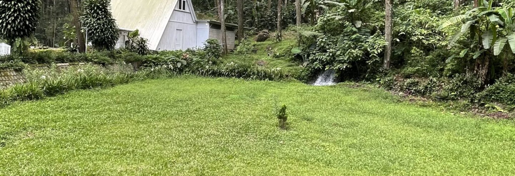 6C42DDC9-C10C-4827-8F7C-E743784F7D84