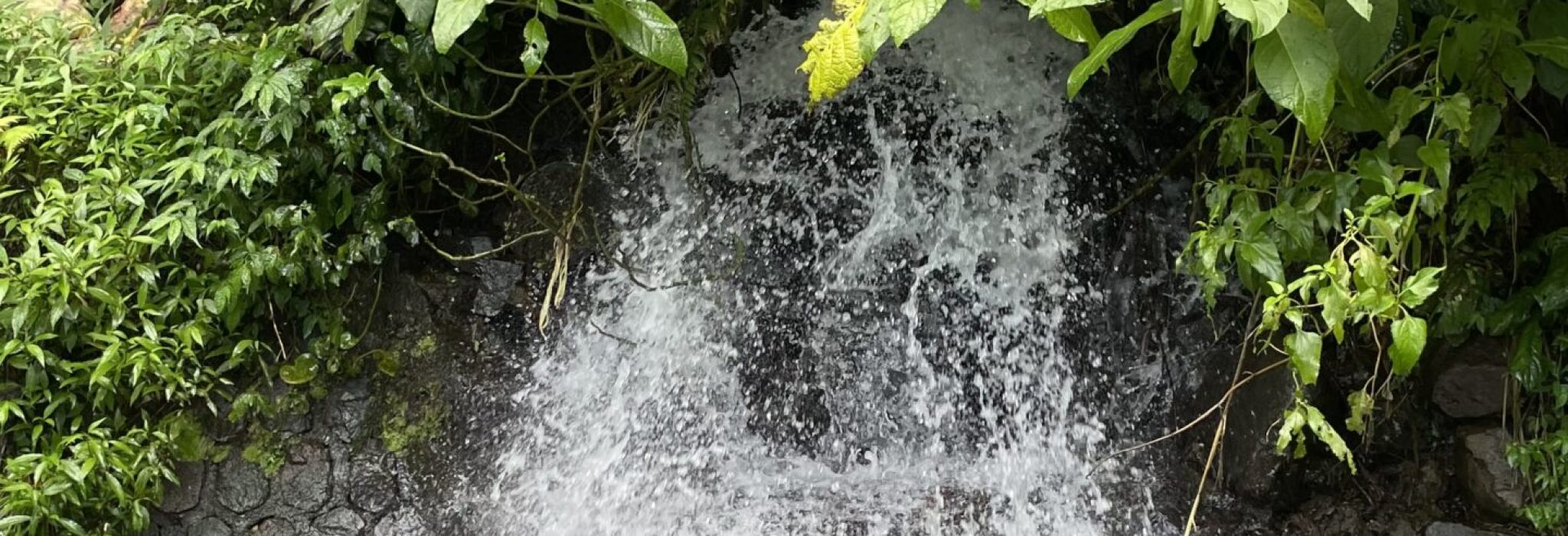 9A629BBE-0CFB-42C7-A0F7-4678FB0AC097