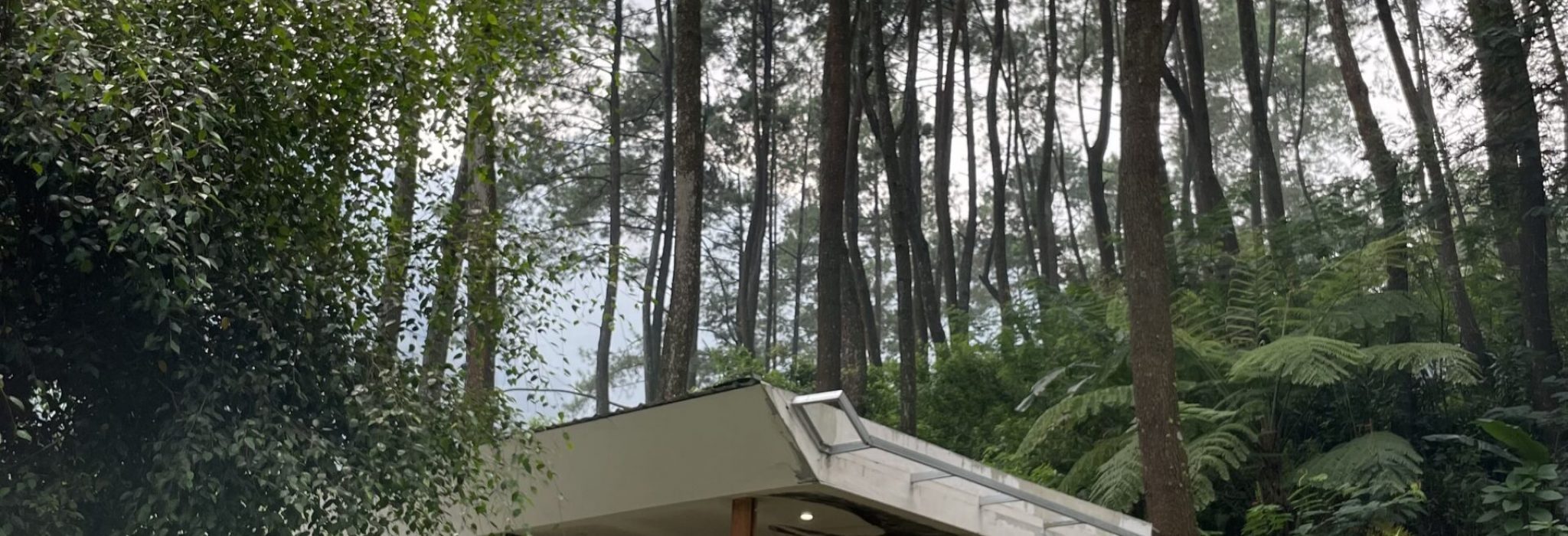 B1E14ECC-C305-4B07-99C1-5792B7B0D3D3