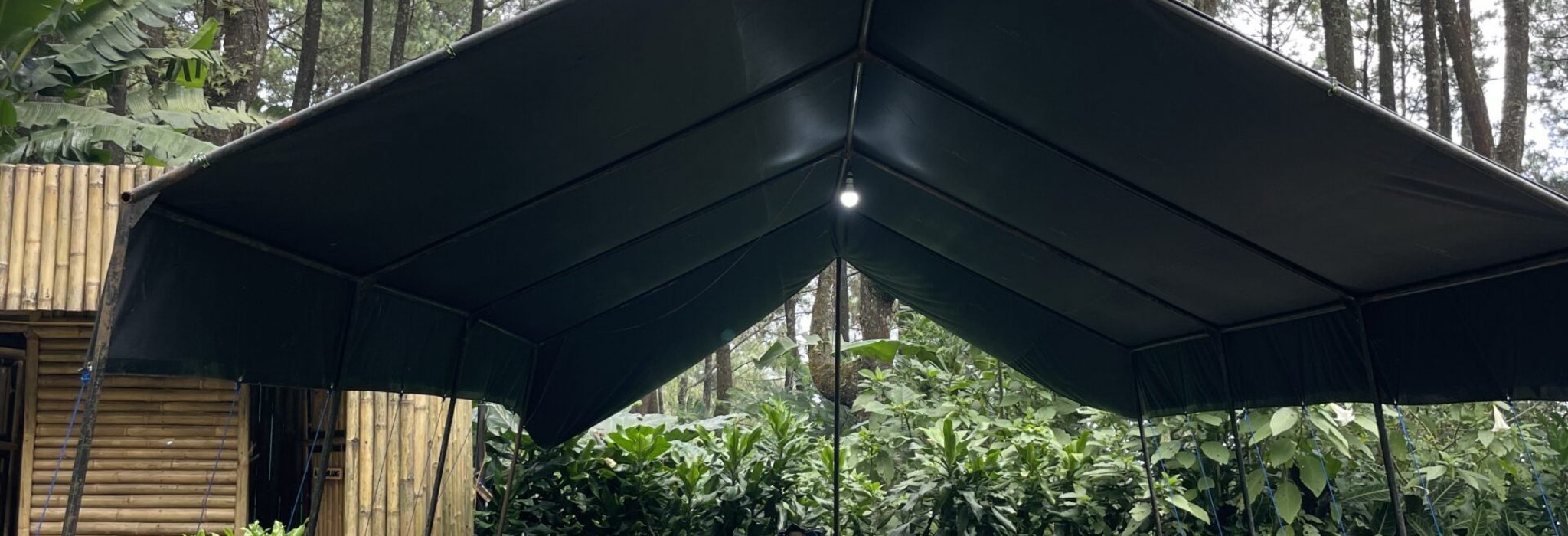 BDF4DDF2-830C-4575-AF24-18738047F044