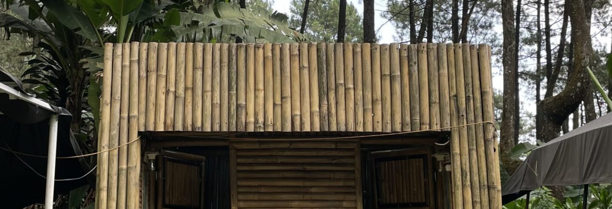 BEDCDA6B-7FCB-4B30-ABFA-16D66B81A683