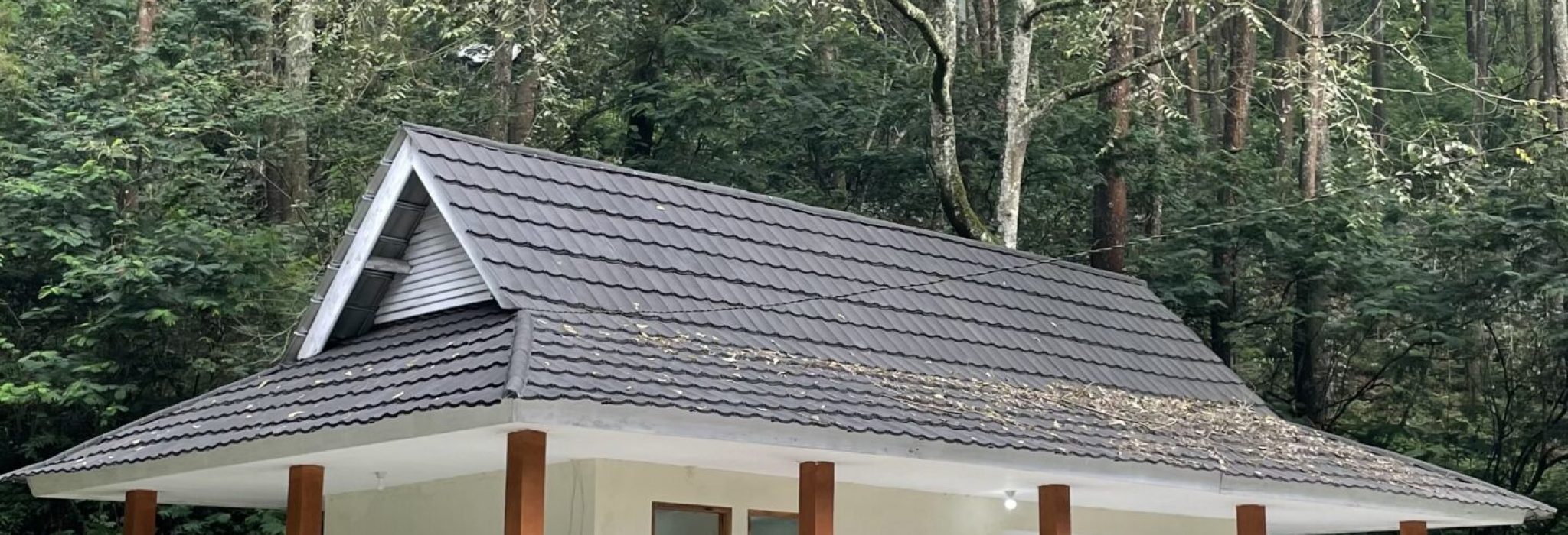 CB9002BE-F7CF-426A-93C3-45E3FEAF1919