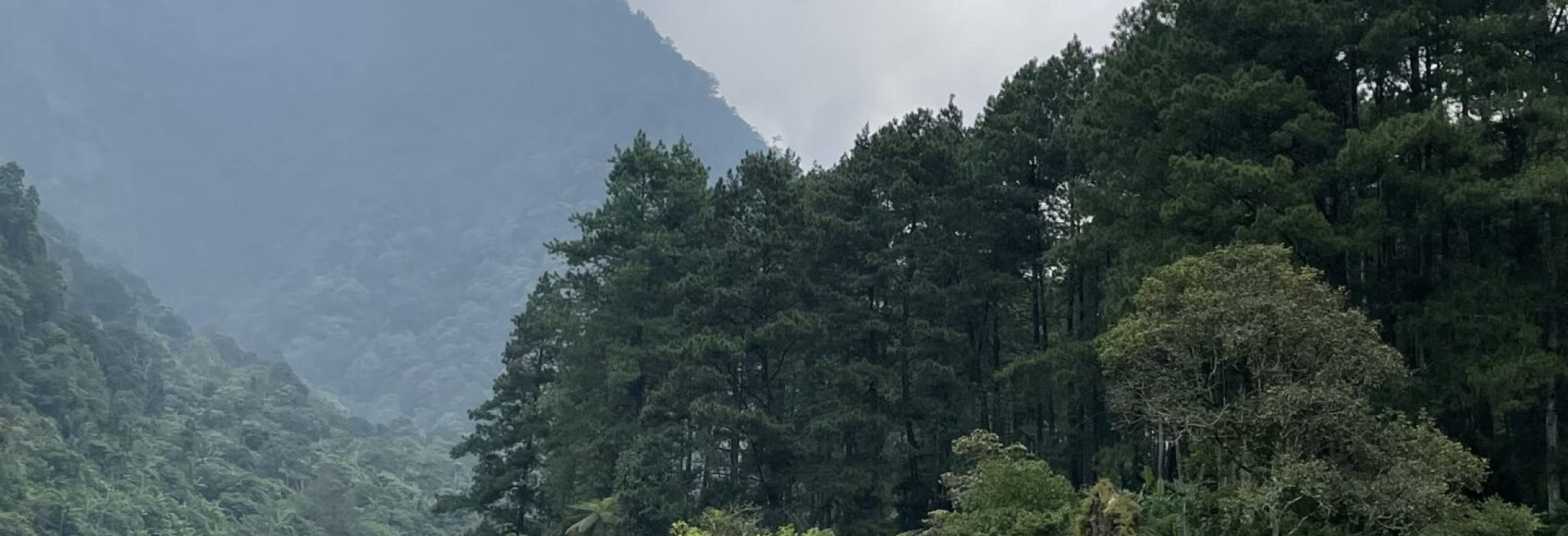 F2C0B8B7-7612-45DF-870B-B231D6A4F385